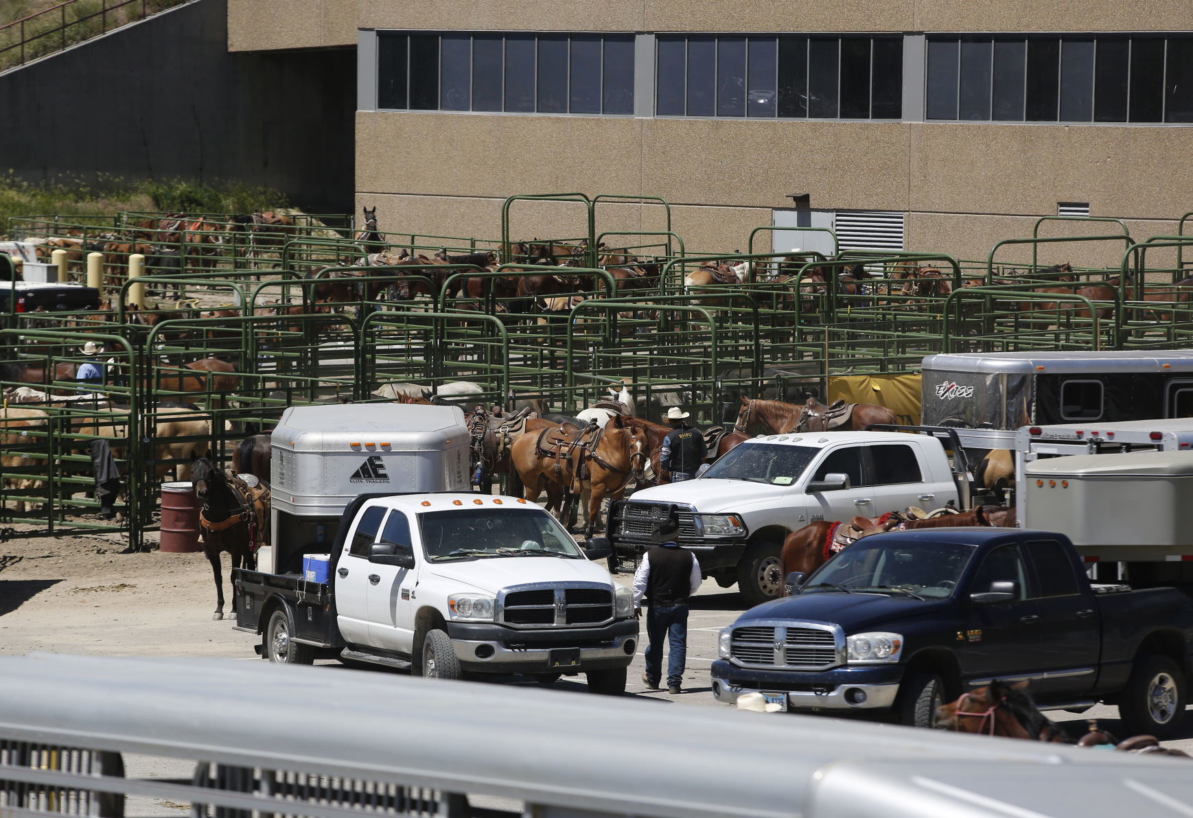 CNFR - Monday